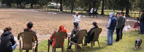 Dressage Naturally ride a test clinic