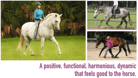 Harmonious dynamic biomechanics