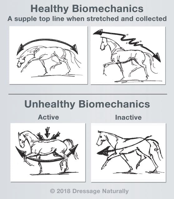 Healthy_Unhealthy_Biomechanics_web