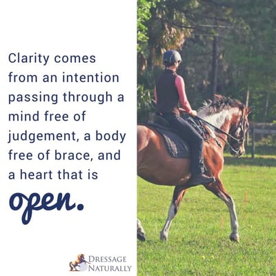 Clarity Dressage Naturally