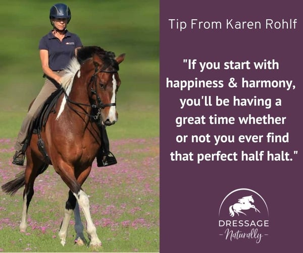 Dressage Naturally & Karen Rohlf Tip 9