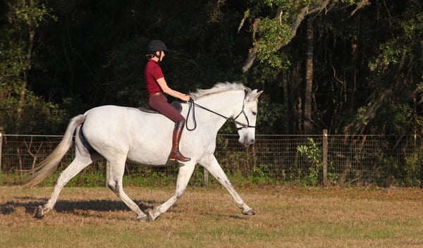 Karen Rohlf Dressage Naturally Bareback bitless Extended Trot