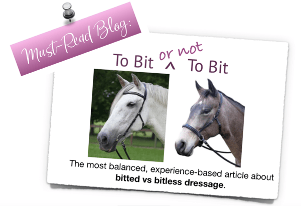 Karen Rohlf Dressage Naturally Bitless dressage blog