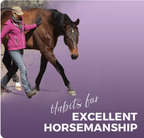 Karen Rohlf Dressage Naturally Horsemanship Course