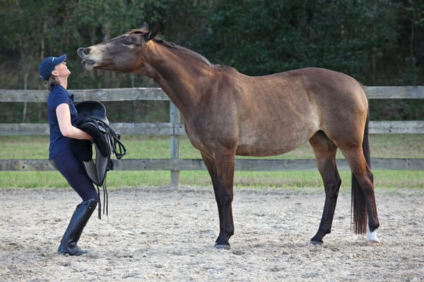 Karen Rohlf Dressage Naturally Solana smiling 2