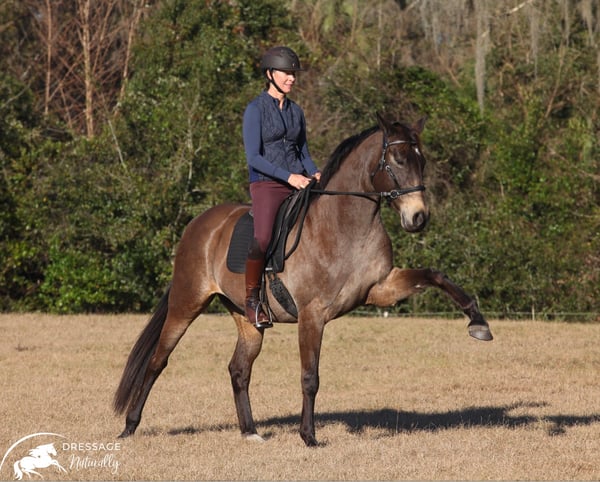 Karen Rohlf Dressage Naturally Spanish Walk web