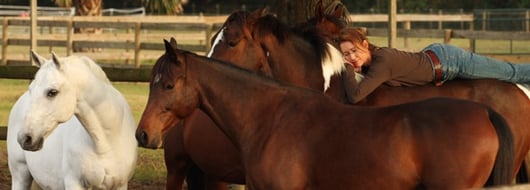 Karen Rohlf Dressage Naturally harmony with horses