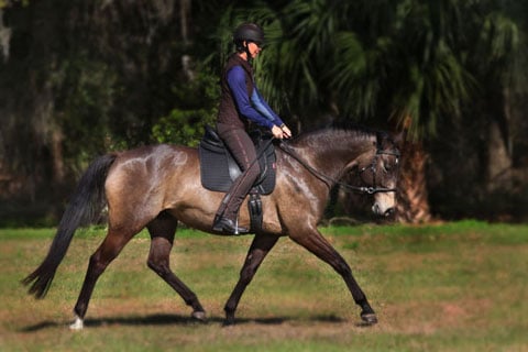 Karen and Solana Relaxed trot 480x320