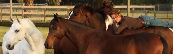 Karen Rohlf at one with her horses