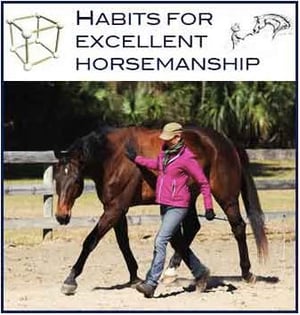 Habits For Excellent Horsemanship Course