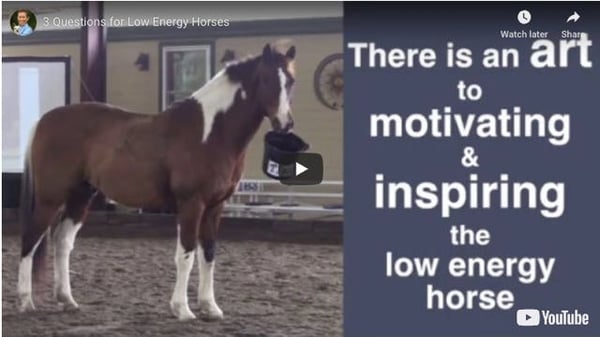 low energy horse