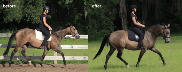 Sweet Spot Of Healthy Biomechanics before and after