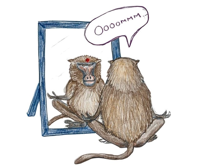 om baboon