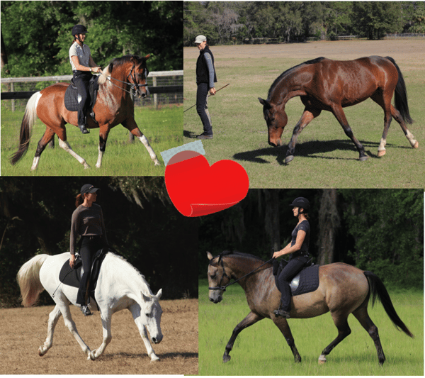 Horse play at dressage naturally