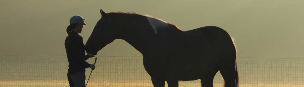 Karen Rohlf Dressage Naturally Partnership